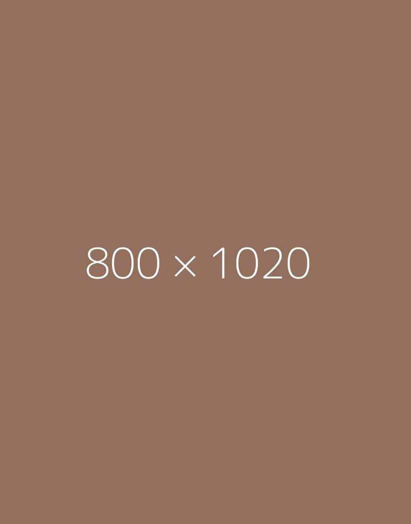 hongo 800×1020-c-ph